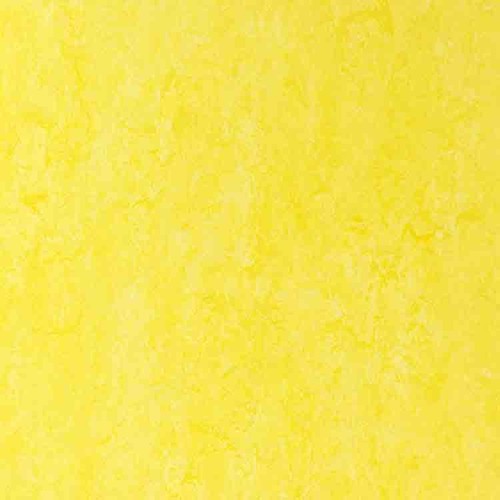 Linoleum
