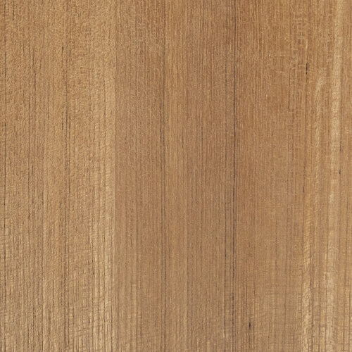 Teak - Edelfurnier
